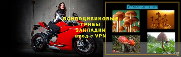 твердый Верхний Тагил