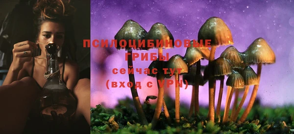 эйфоретик Волоколамск