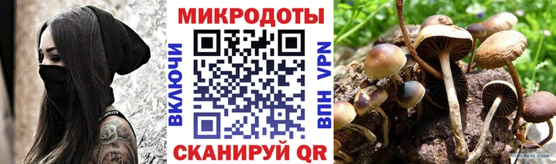 Псилоцибиновые грибы мухоморы  как найти наркотики  Дрезна 